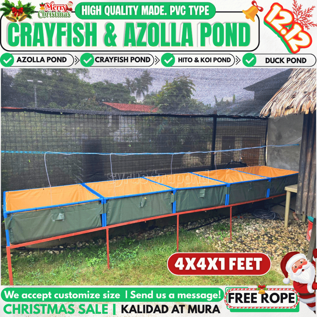 4X4X1, 4X3X1 FEET AZOLLA PVC TYPE FISH TANK POND/ BED TRAPAL HIGH ...