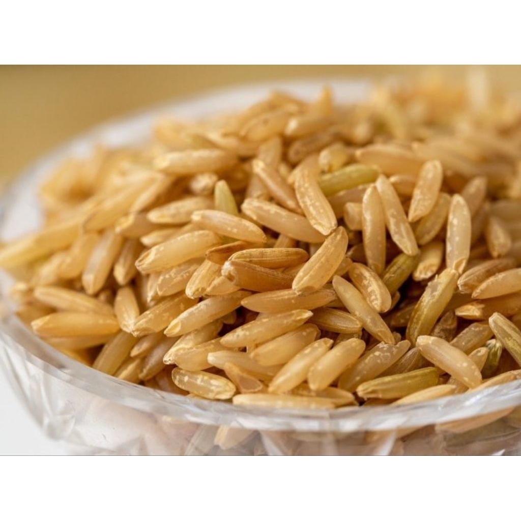 Shop rice brown for Sale on Shopee Philippines