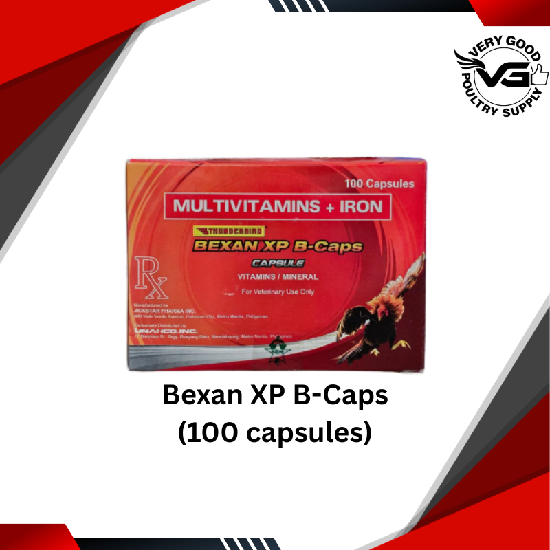 THUNDERBIRD BEXAN XP - BCAPS CAPSULES (100 CAPSULES) - 1 BOX | Shopee ...