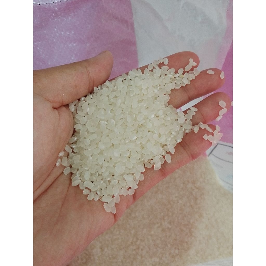 Shop rice japanese for Sale on Shopee Philippines