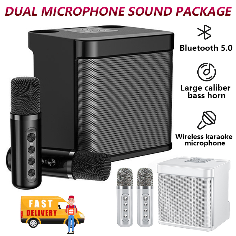 Bluetooth Karaoke 5.0 Home KTV Portable Mini Wireless 3D Stereo Dual ...
