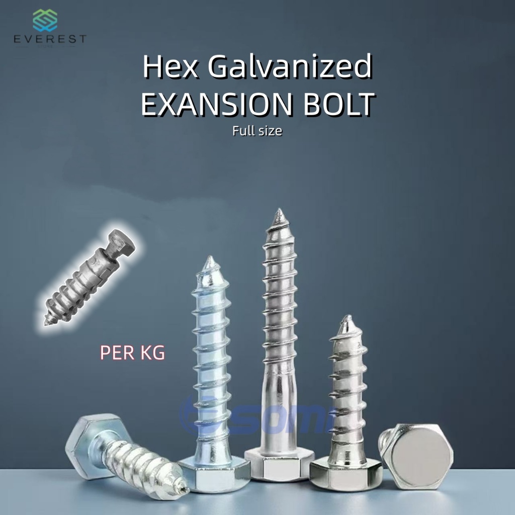【PER / 1 KILO】Hexagonal Galvanized Lag Screw Log Screw Wood Screws ...