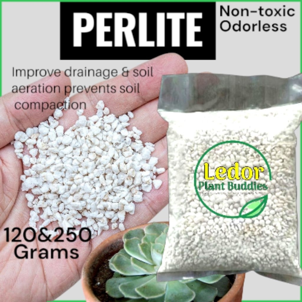 Perlite horticultural grade maputi 120 & 250 grams for succulents ...