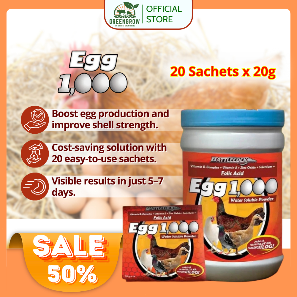 EGG 1000 Poultry Vitamin Supplement – Boost Egg Production & Quality ...