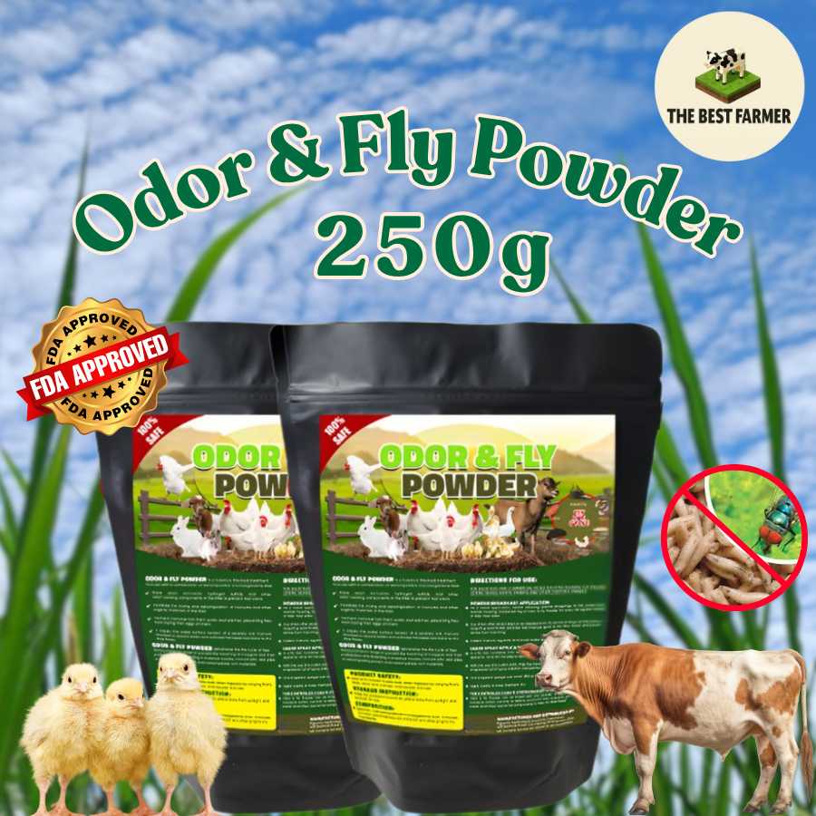Odor and Fly Powder 250G | Organic Microbial Formula to Remove Bad Odor ...