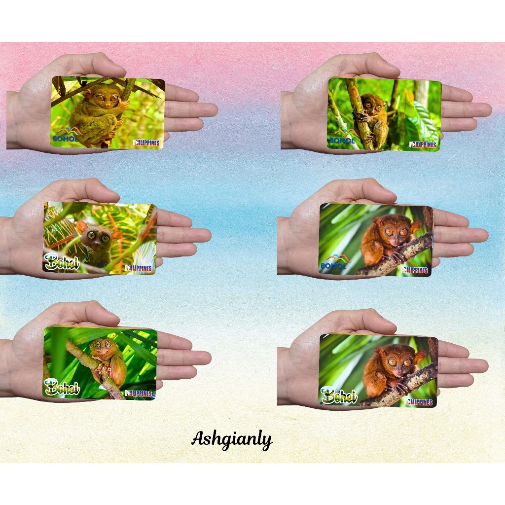 Ashgianly BOHOL RUBBER REF MAGNET SOUVENIR | Shopee Philippines