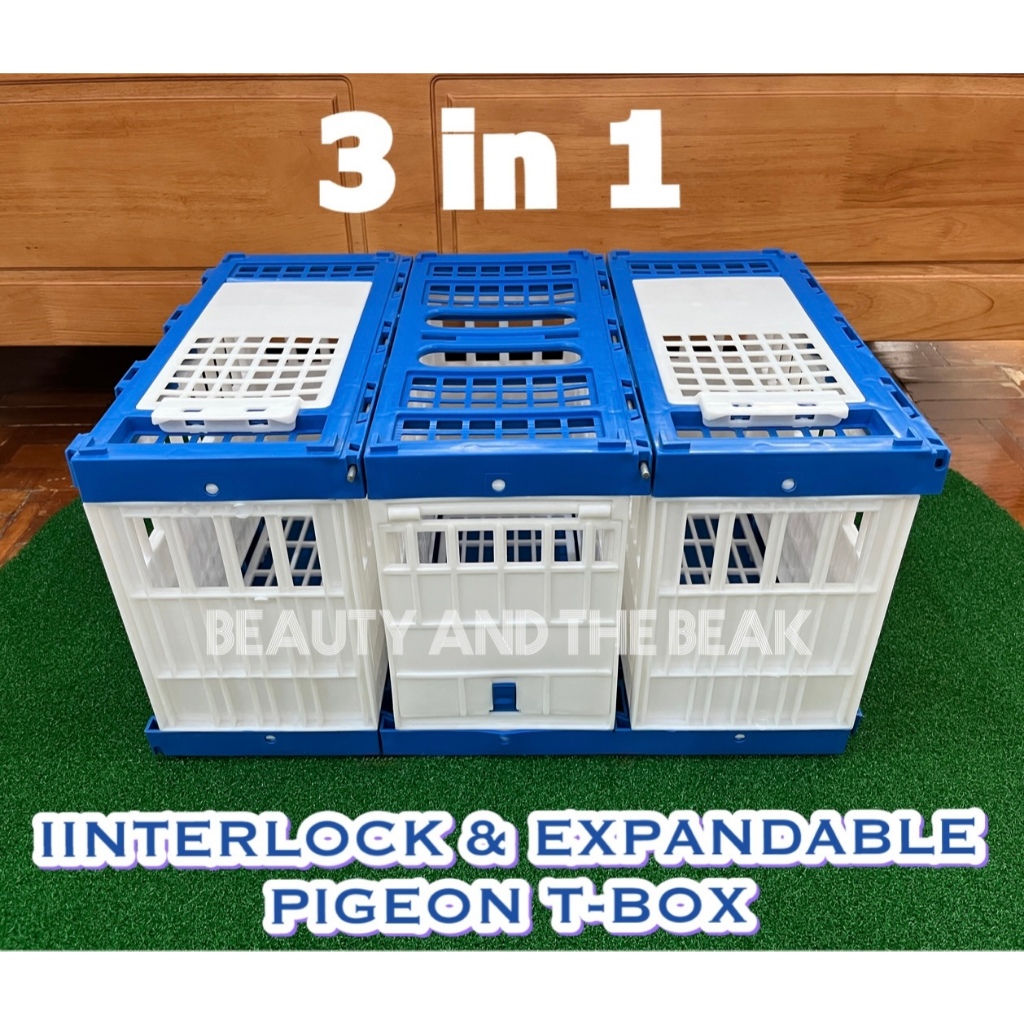 Pigeon Premium Interlocking and Expandable Training Cage Box Tbox Set ...