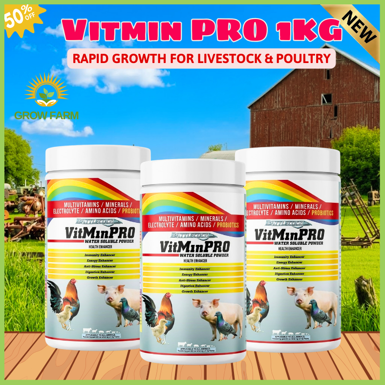 Shop vitmin pro for Sale on Shopee Philippines