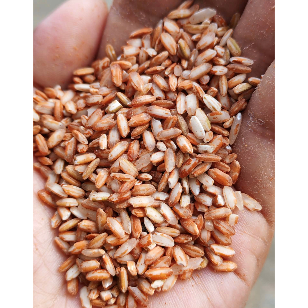 Unoy Red Short Grain High Fiber Organic Heirloom Rice from the Rice ...