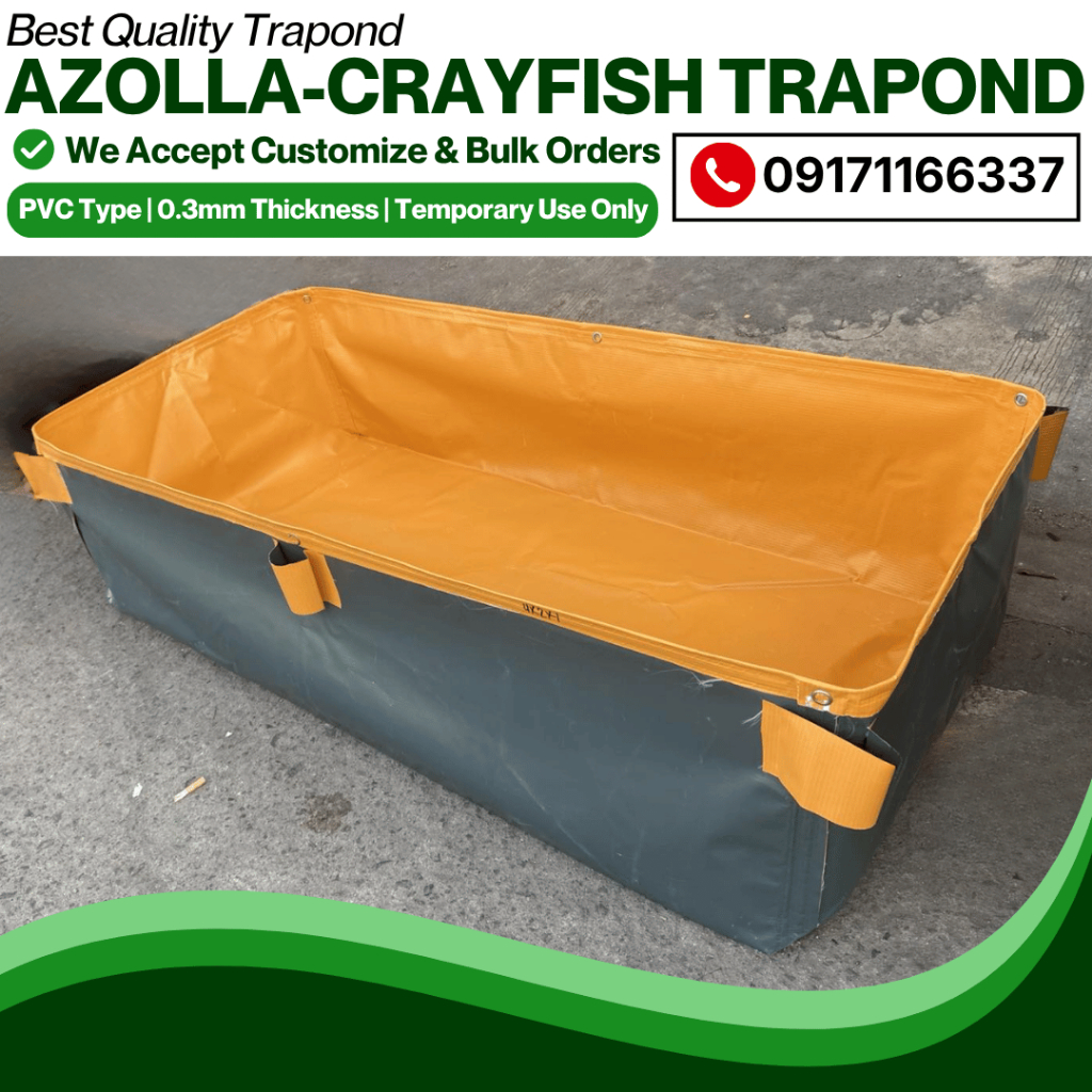 PVC Trapal Pond Azolla Bed Fish Tank Crayfish Pond w/ Free Rope Lona ...