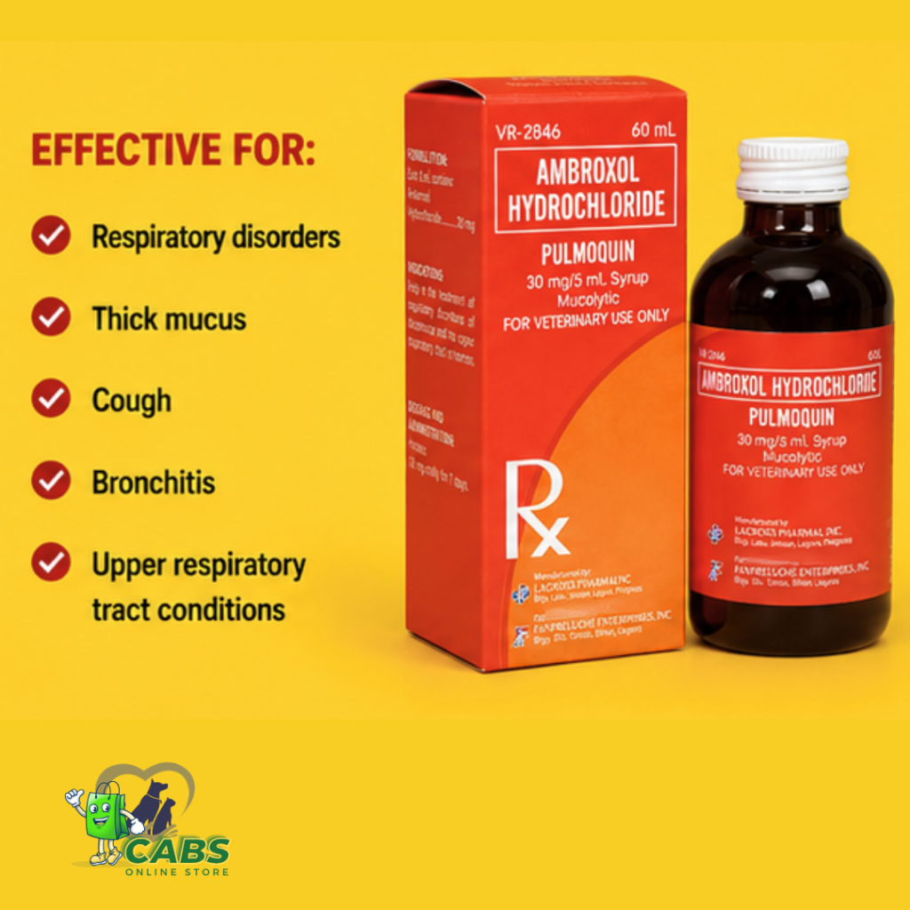 Shop ambroxol syrup for Sale on Shopee Philippines