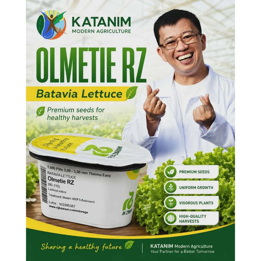 Olmetie Lettuce Seeds by Rijk Zwaan (1 tub --1000 coated pills) Batavia ...