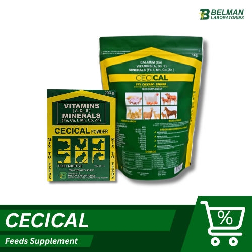 Belman Laboratories CECICAL - 97% Calcium Sagana - Mix to Feeds ...
