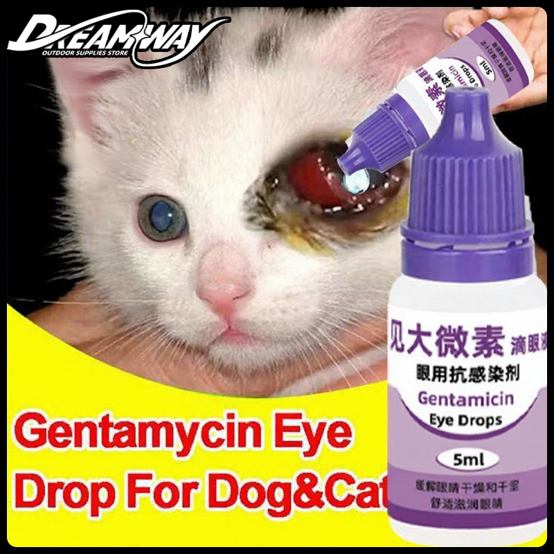 Gentamicin Eye Drops for Dogs and Cats to Treat Eye Infections and ...
