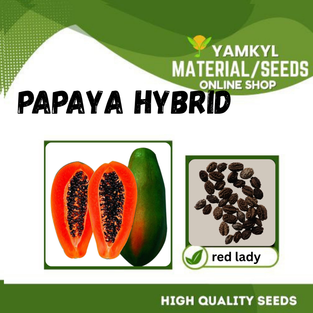 PAPAYA ( RED LADY ) High Quality Vegetables Seeds | Shopee Philippines