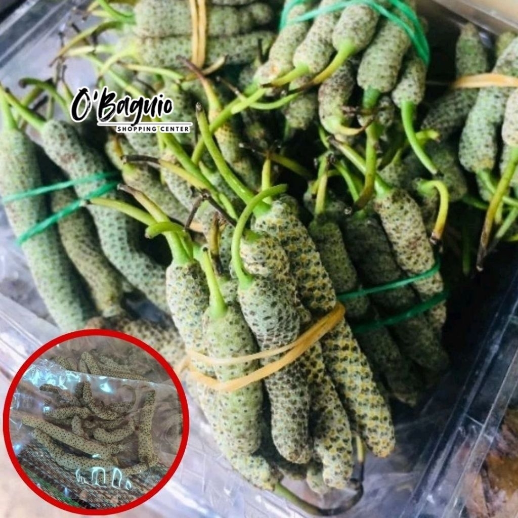 Dried Bunga Ng Gawed - Ikmo | Nganga | O'Baguio (COD) | Shopee Philippines