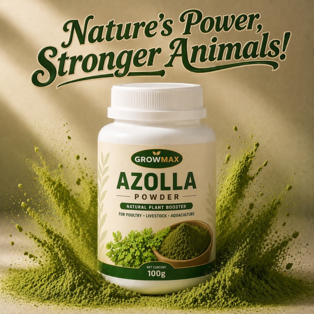 Shop azolla for Sale on Shopee Philippines