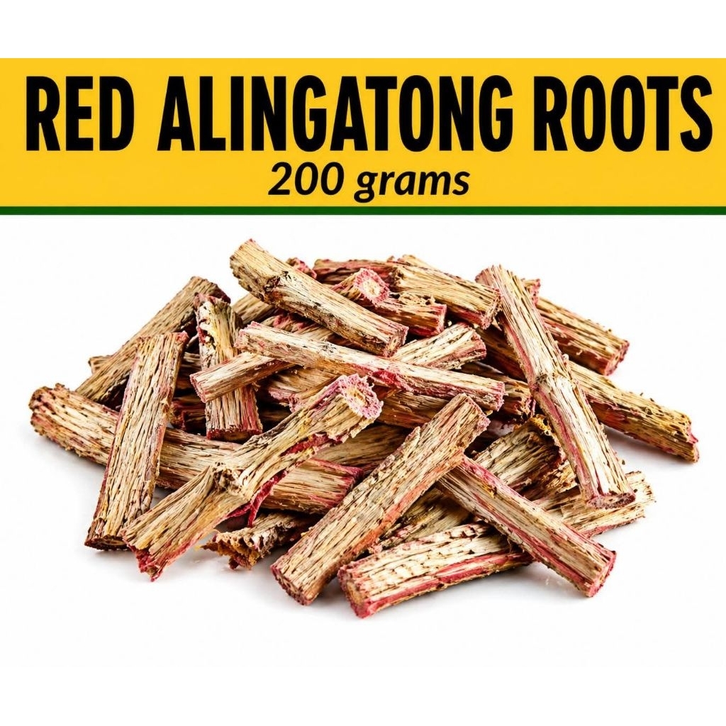 RED ALINGATONG DRIED ROOTS | Shopee Philippines