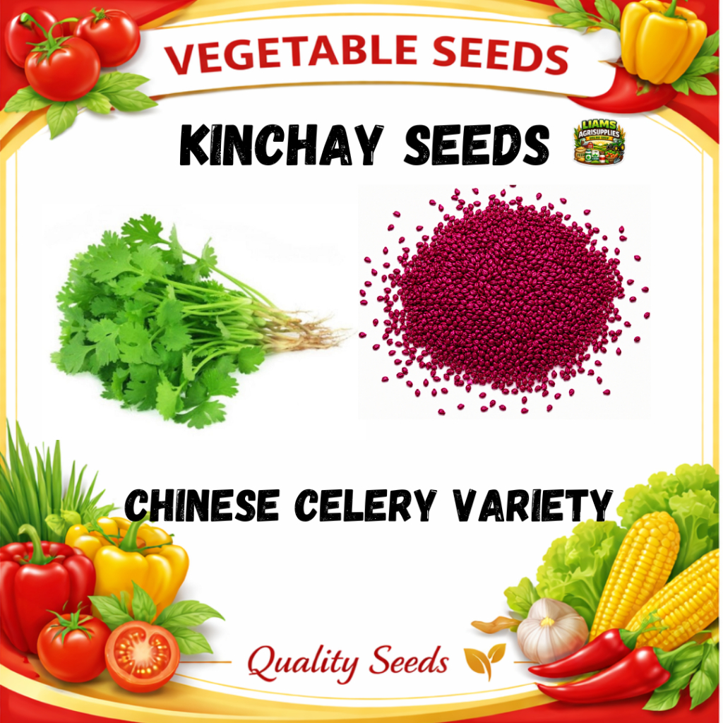 Shop kinchay for Sale on Shopee Philippines