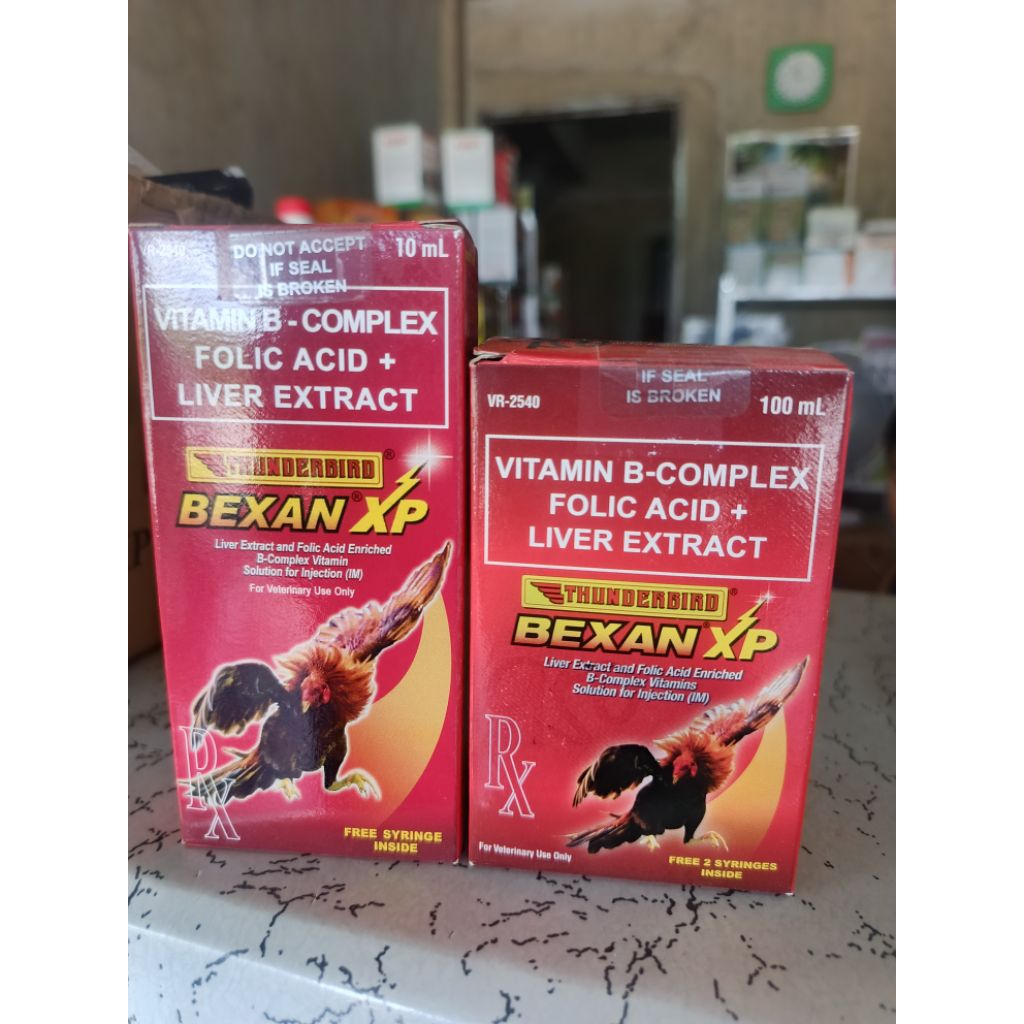 Shop bexan xp for Sale on Shopee Philippines