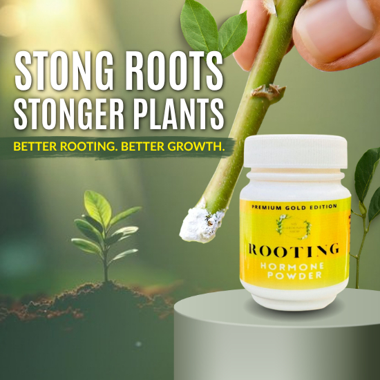 Shop fertilizer for Sale on Shopee Philippines