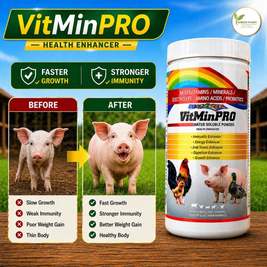 Shop vitmin pro for Sale on Shopee Philippines