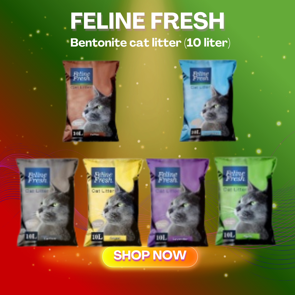 FELINE FRESH CAT LITTER SAND 10L/8KG | Shopee Philippines