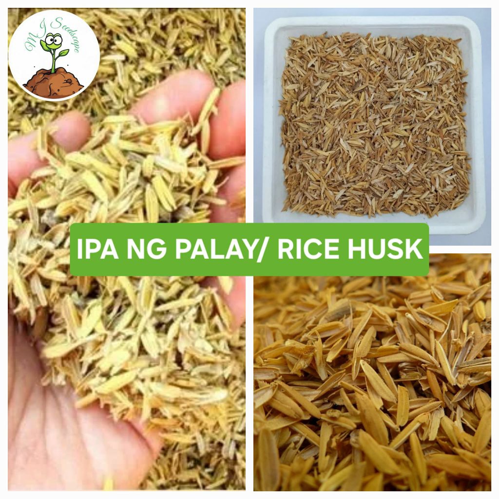 Ipa ng Palay / Rice Husk | Shopee Philippines