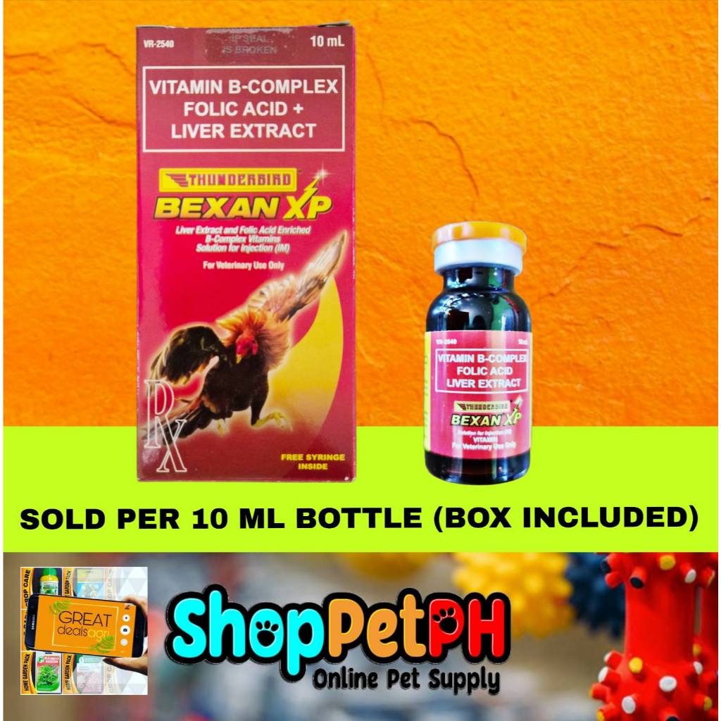 Shop bexan xp for Sale on Shopee Philippines