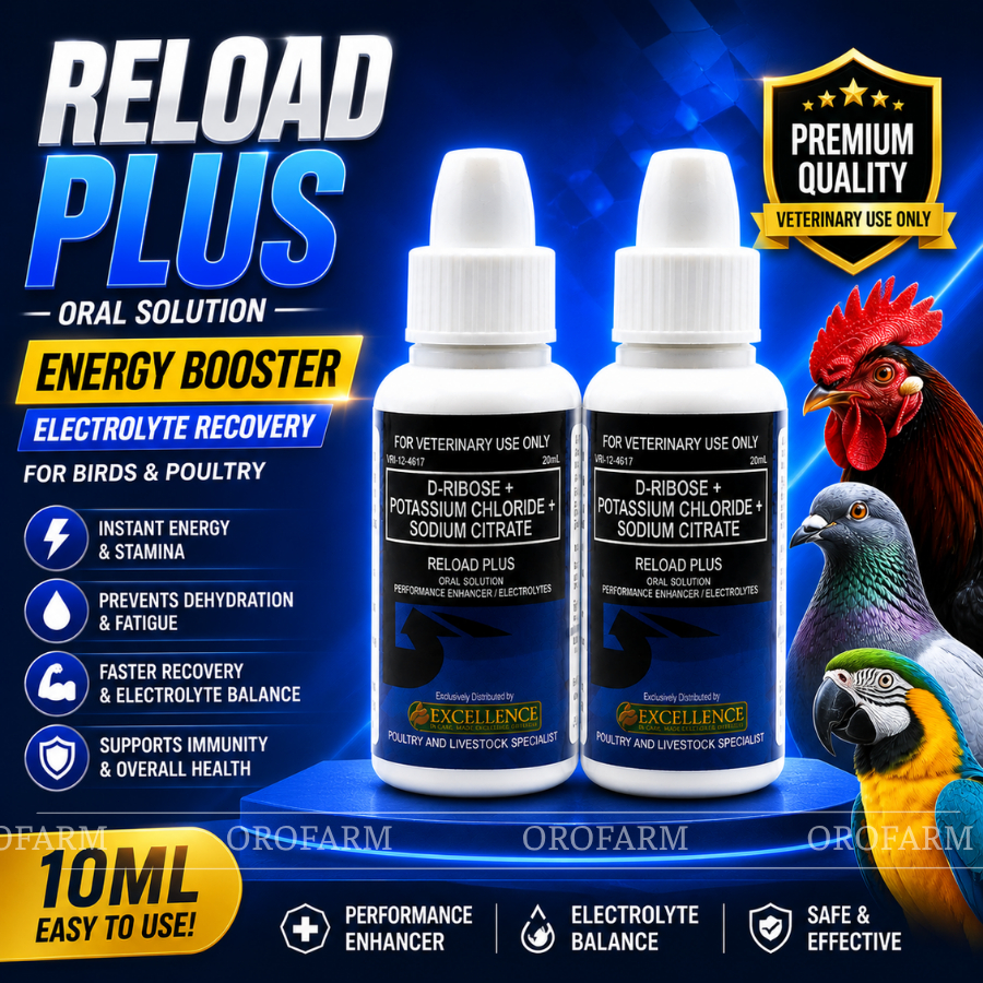 Shop reload plus for Sale on Shopee Philippines