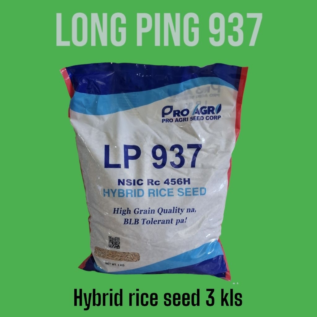 Long Ping 937 Hybrid Rice Seed 3 kilos by Pro Agri Seed Corp. | Shopee ...