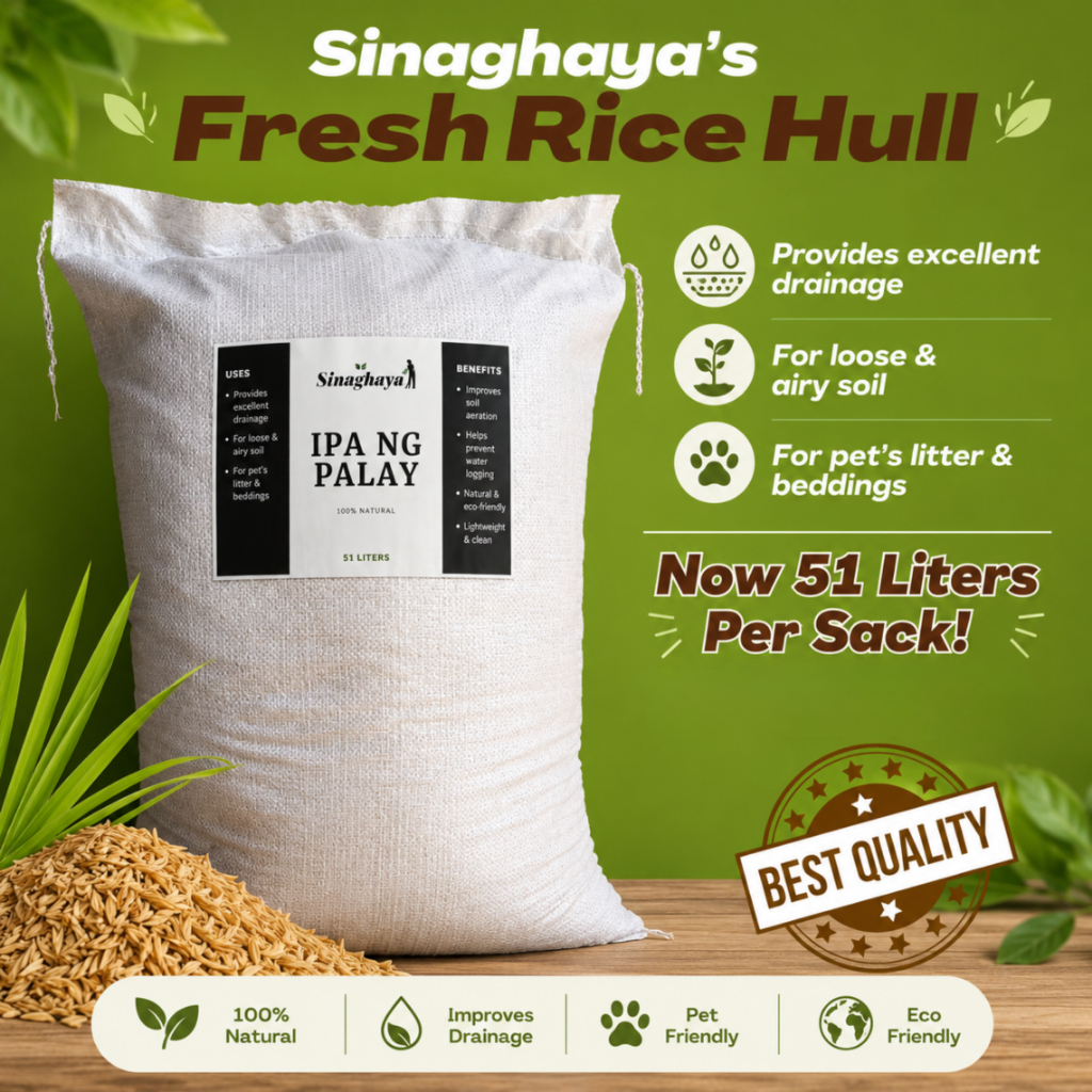 Shop rice hull for Sale on Shopee Philippines