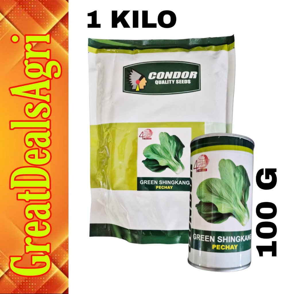 SHINGKANG GREEN PECHAY / PAKCHOY OPV (KILO OR 100 GRAMS) CONDOR SEEDS ...