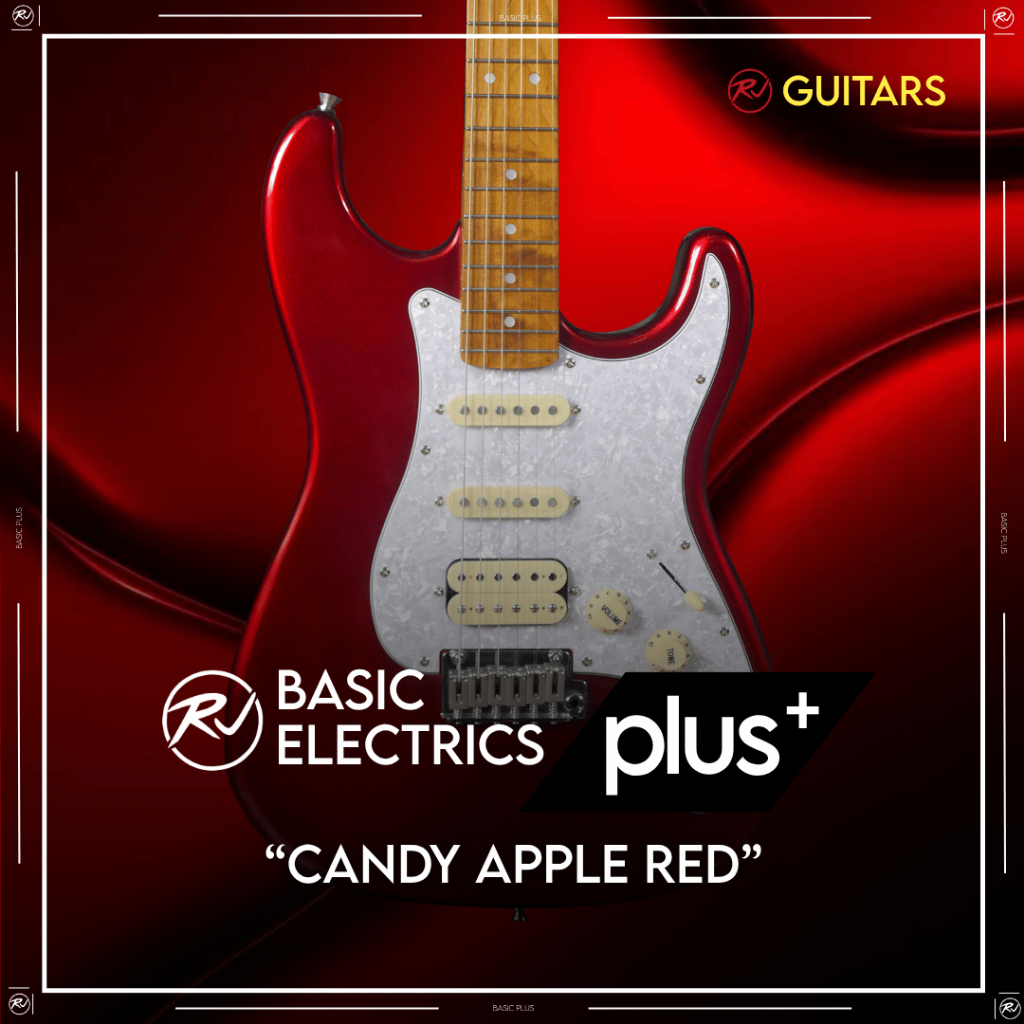 RJ Guitars