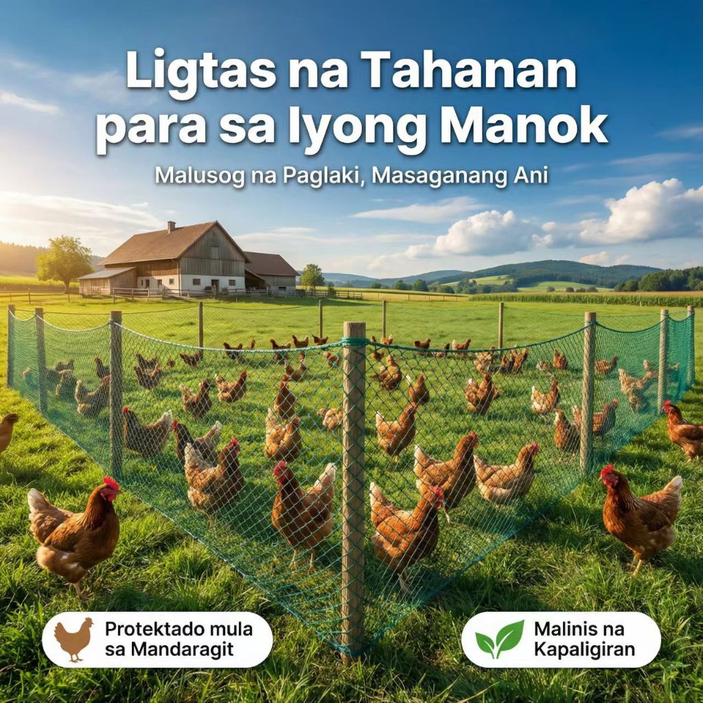 20M 50M 100M Nylon Chicken Netting with Free Rope and Cable Ties ...