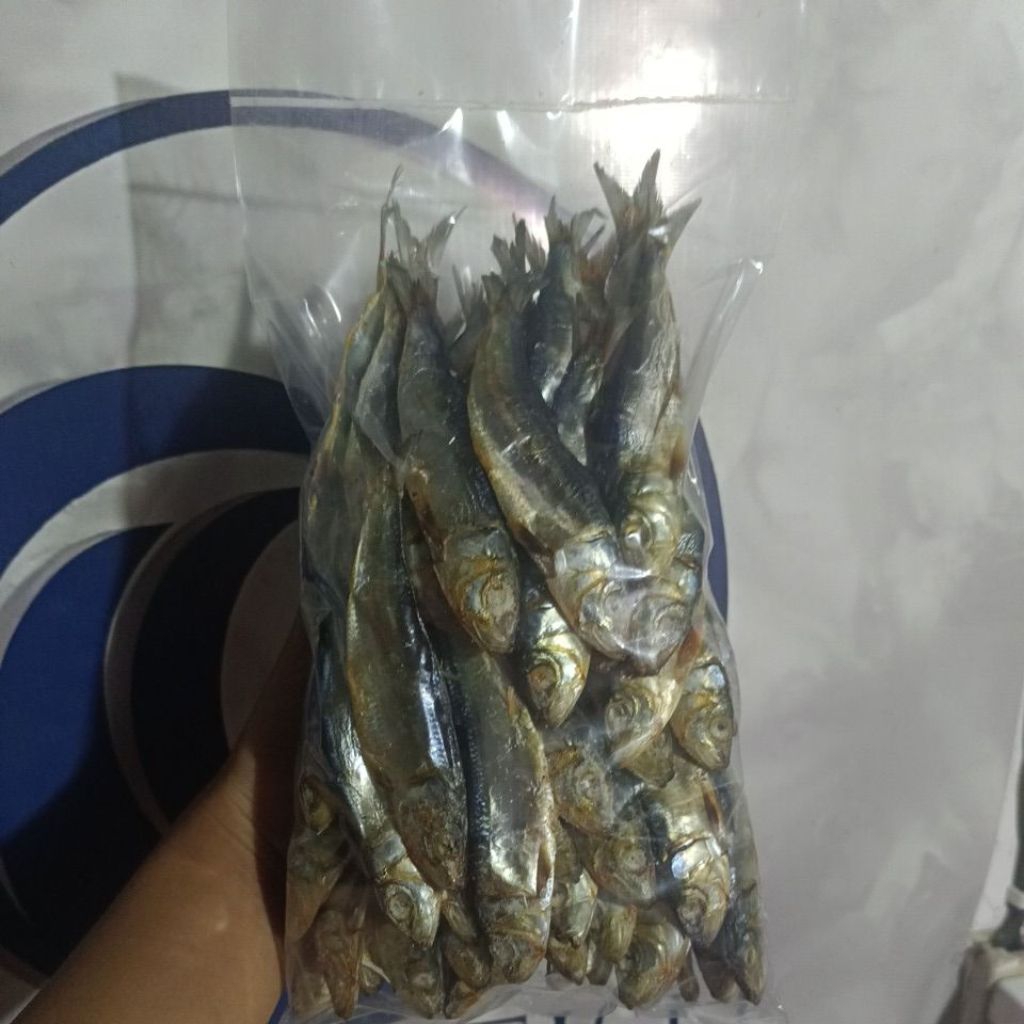 Shop tamban fish for Sale on Shopee Philippines