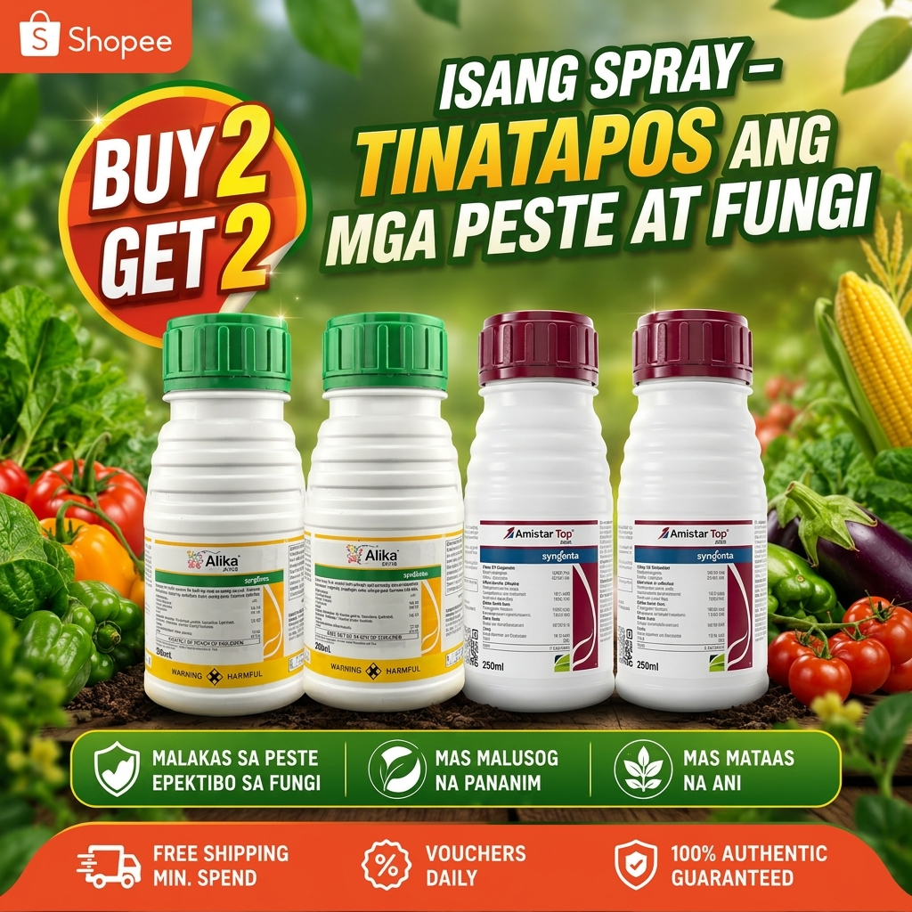 Syngenta ALIKA ZC + AMISTAR TOP for Rice & Vegetables| Insecticide ...