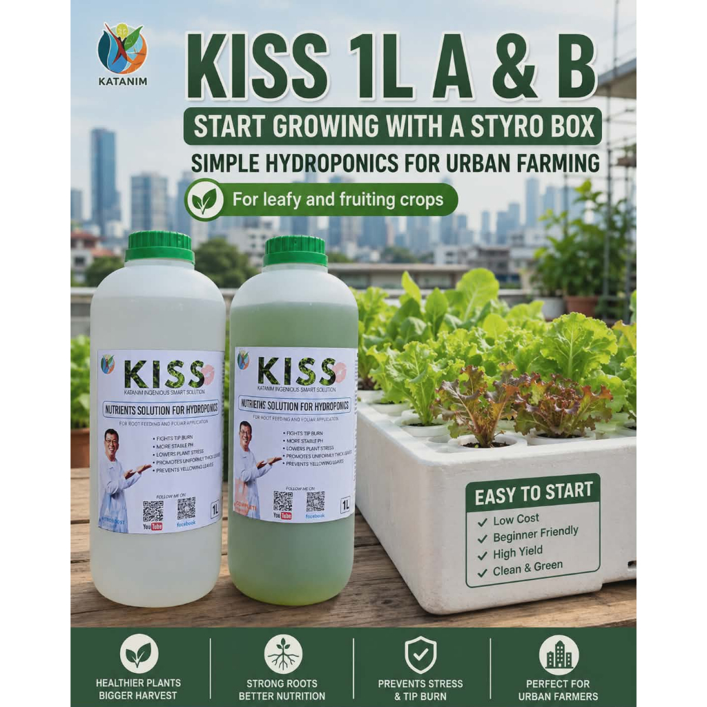 KISS 1L Nutrient Solution for Hydroponics | Nutsol for Lettuce, Leafy ...
