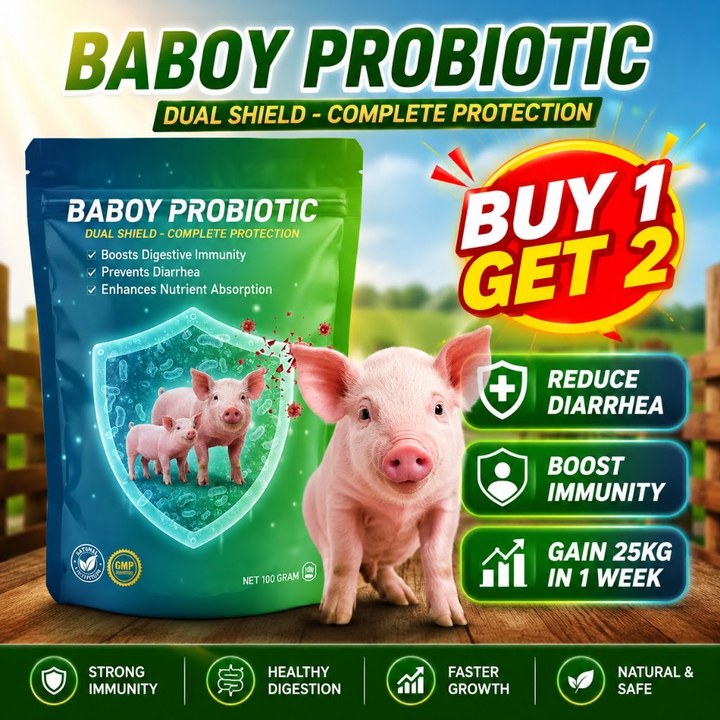 Shop feeds for pigs for Sale on Shopee Philippines