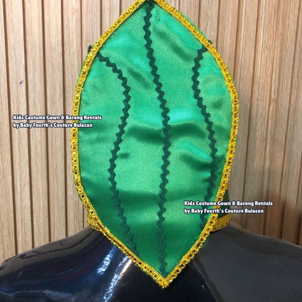 Nutrition Month Ampalaya / Bitter Gourd Costume - Vegetables and Fruits ...