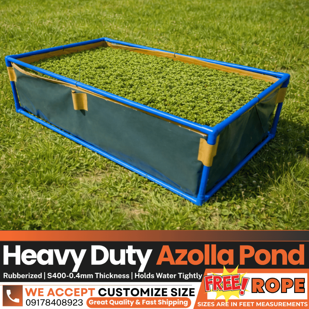 Shop tarpaulin 2x3 for Sale on Shopee Philippines