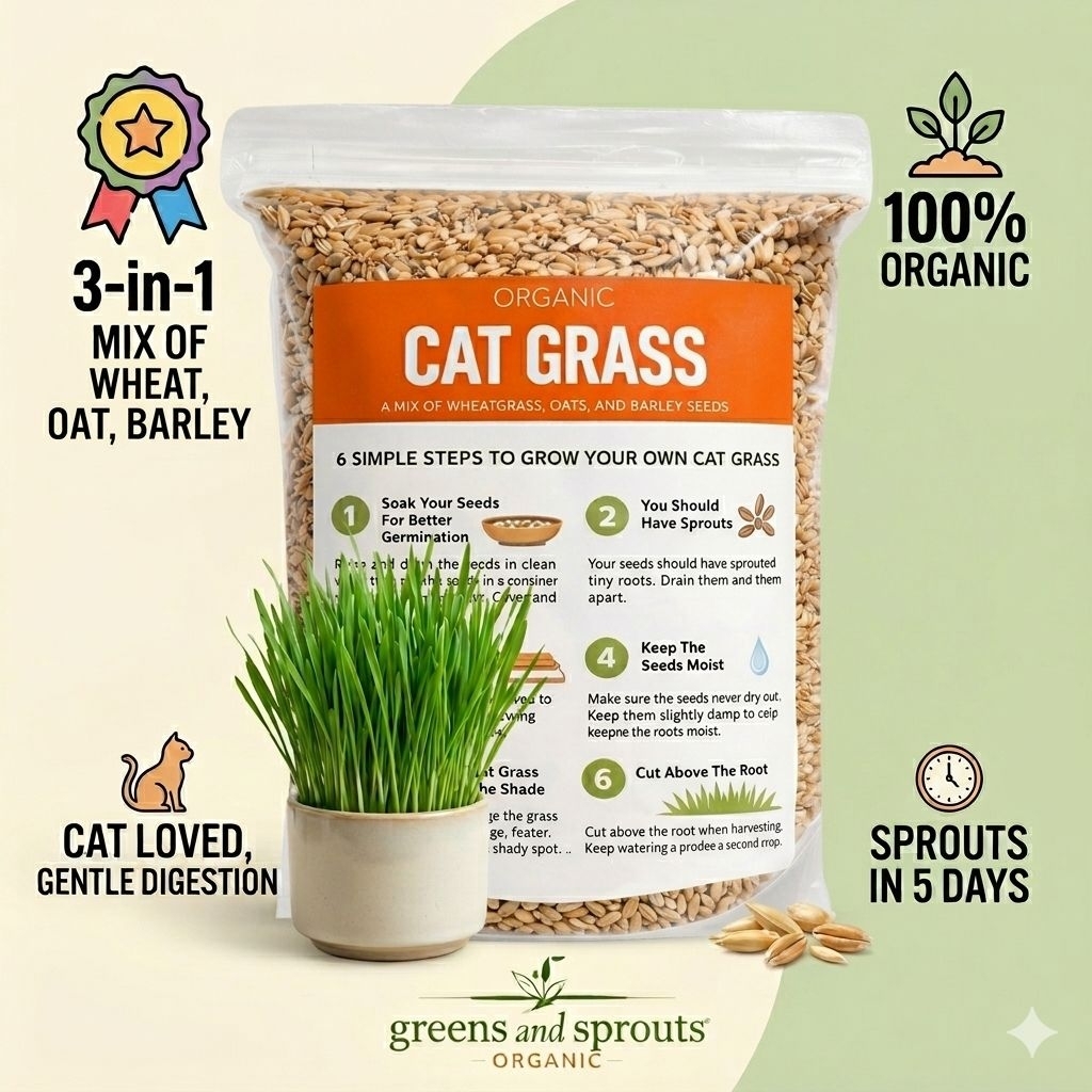 Organic Cat Grass Seeds | High Germination | Wheat Oat Barley | Shopee ...