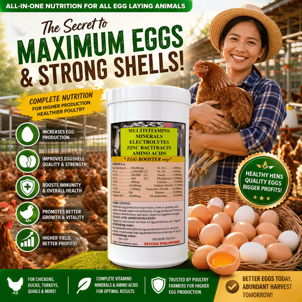 Shop quail eggs for Sale on Shopee Philippines