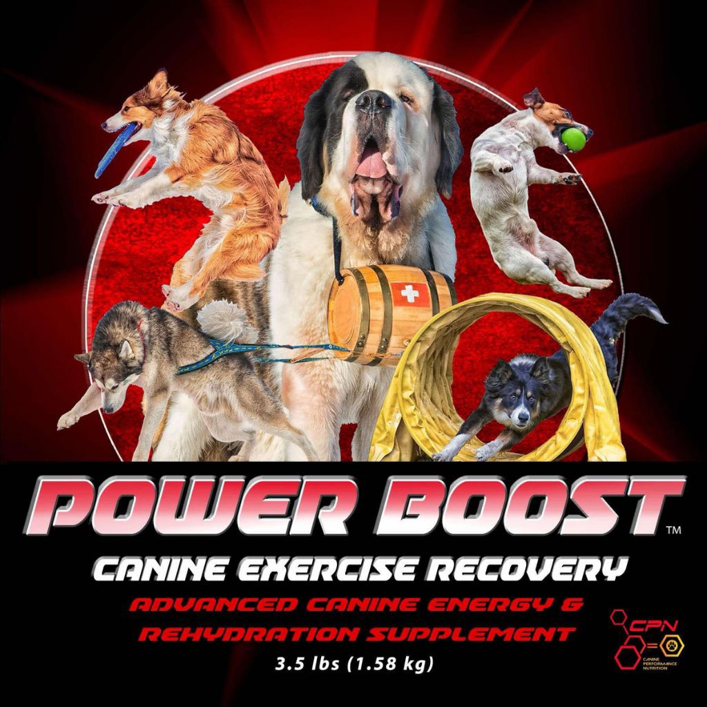 CPN POWER BOOST (Electrolyte and Recovery aid for Dogs ) | Shopee ...