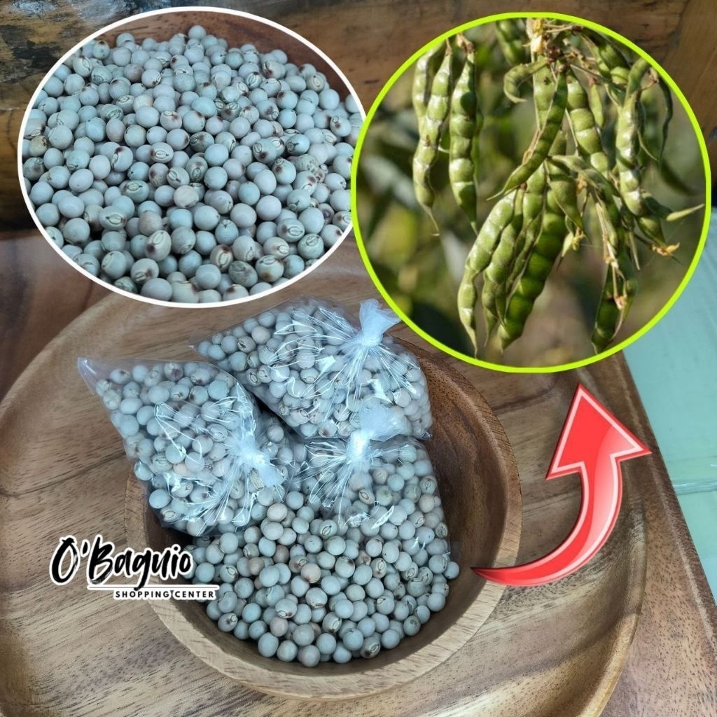 Benguet Kardis - Kadyos Seeds | 100g | Pantanim at Panluto | O'Baguio ...