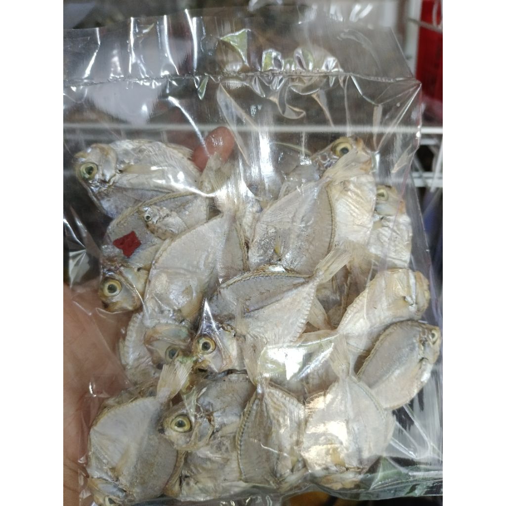 sapsap fish - Best Prices and Online Promos - Oct 2026 | Shopee Philippines