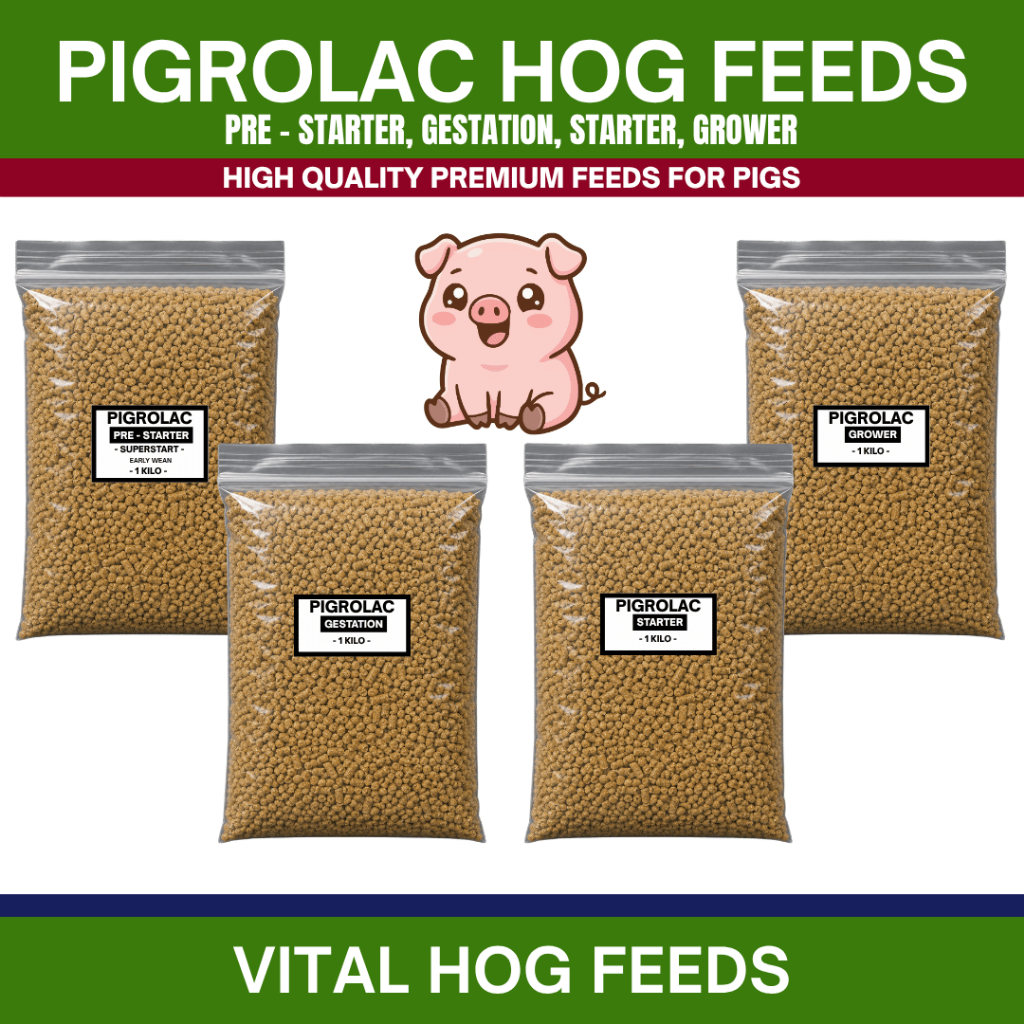hog grower feeds - Best Prices and Online Promos - Aug 2026 | Shopee ...