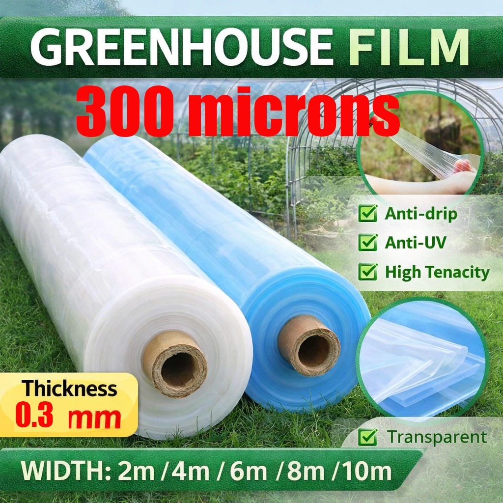 Polyethylene UV plastic sheet 【300 micron 】 GREEN HOUSE/ HYDROPONICS ...