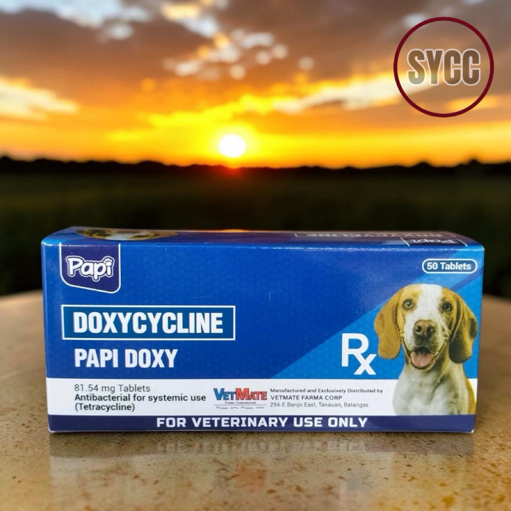 Shop papi doxy antibacterial for Sale on Shopee Philippines