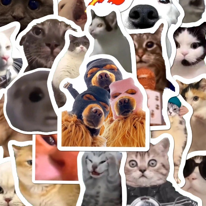 100pcs Funny Cat Meme Sticker DIY Graffiti Sticker Waterproof Cat Emoji ...